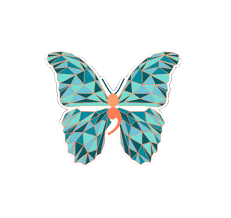 Morgan's Message Butterfly representing mental health